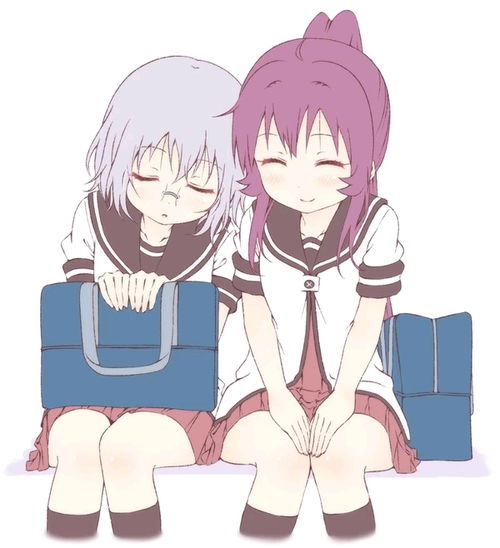  摇曳百合图片6