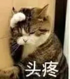  亲妈加500人红娘群竟然爸妈为你脱单能有多拼