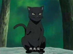  盘点动漫那些卖萌猫咪,你最喜欢那只