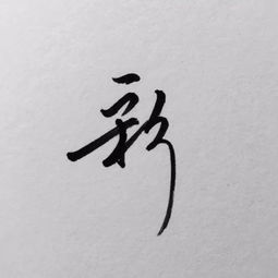  每日一字彩