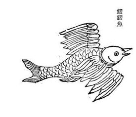  山海经里面的动物是真实的吗