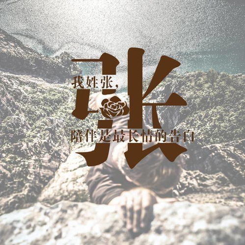  夏姓头像