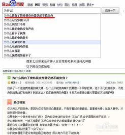  搜索引擎的工作原理
