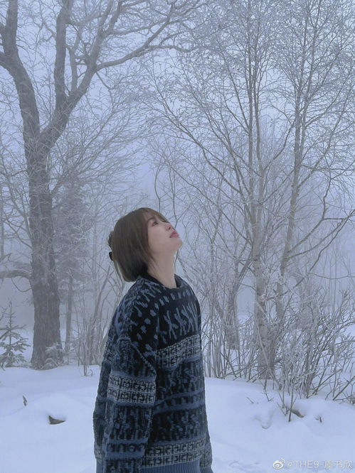 雪景头像高清剧照