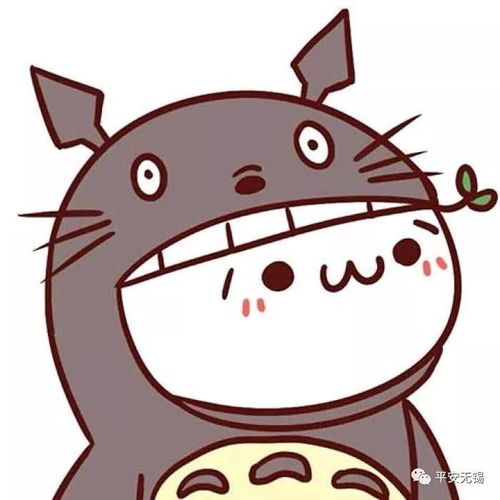  出国期间驾照到期怎么办延期换证又有哪些规定看这里