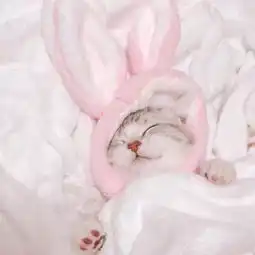 今日头像推荐,627 今日头像推荐,627