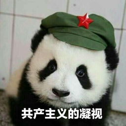  如何评价香蜜沉沉烬如霜里的神魔大战