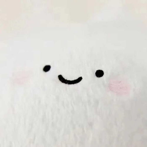  我的收藏夹