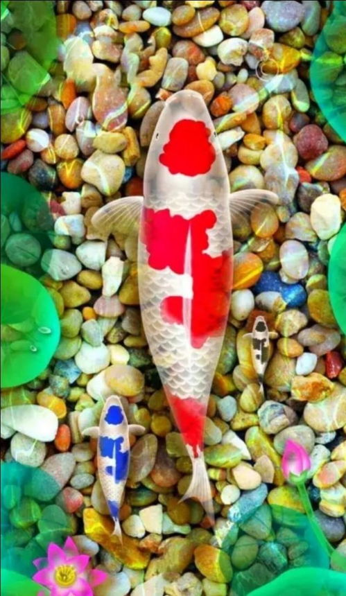  新年的第一天,看到第一张图片的你是个幸运的人,2020会行好运