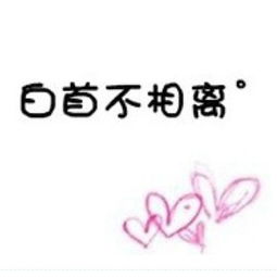  求对应的白首不相离图片