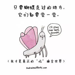  妈呀,不看不知道,原来动物身上竟有这么多逗趣的秘密...