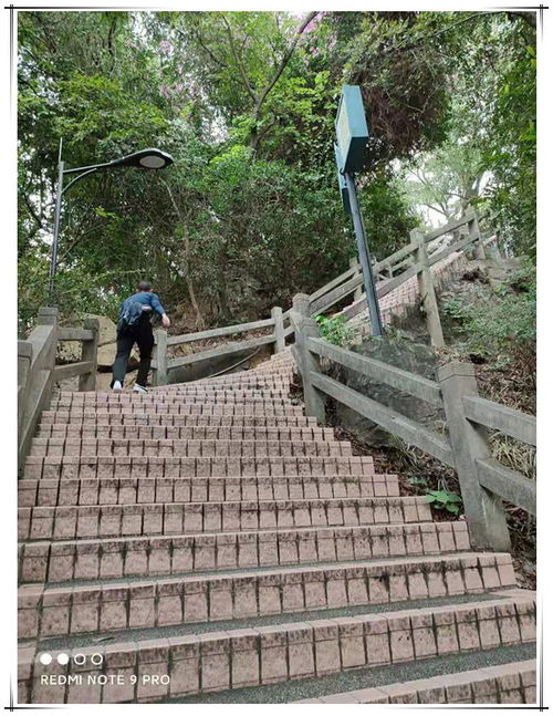  记华鸿2021年度员工旅游广州之旅佛山市华鸿铜管有限公司