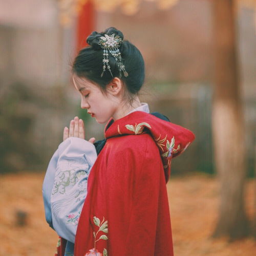  留下一个你喜欢的句子吧