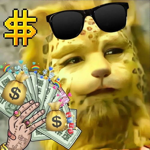  热门金钱豹合集