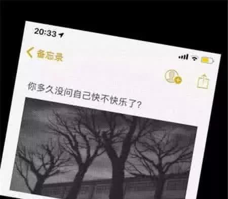  网易云音乐热评我还是单身,因为我18岁时想嫁的人已经