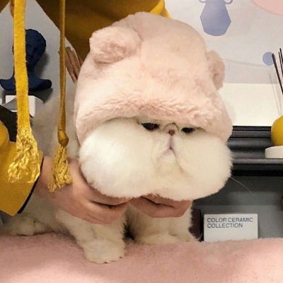  念七可爱头像