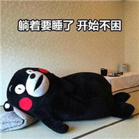  熊本熊系列卖萌带字表情熊本熊四季犯困表情包