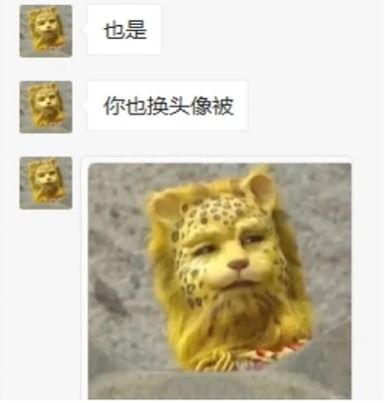  换上金钱豹头像,豹富一整年