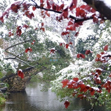  雪景杭州