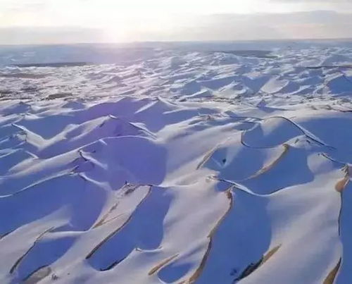  新疆的沙漠下雪了,中国竟有这样浪漫到爆的地方