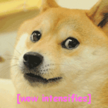  meme欧美鬼畜,一张图片足矣