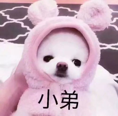  分手后该不该复合