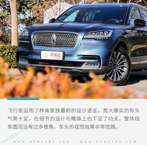 福瑞头像林肯飞行家