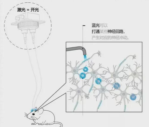  上海14岁女生跳楼自杀,北大精神科医生大声疾呼青少年的心理健康,恐怕到了最糟糕的时刻