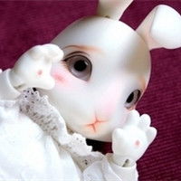 玛丽莲萌兔可爱头像玩具兔子小清新头像