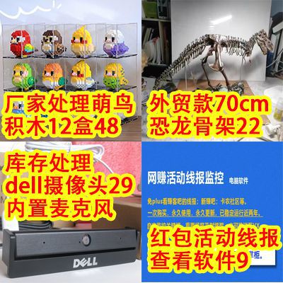  厂家处理萌鸟像素积木12盒48,70cm恐龙骨骼22,dell电脑摄像头29,线报软件9