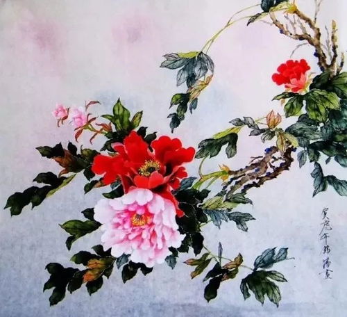  国画牡丹
