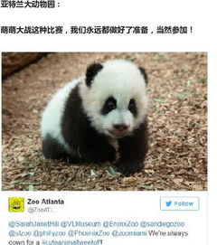  新闻也搞笑8那些活在我硬盘中的逗比国家