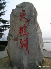  探寻神秘地坑院,看美丽白天鹅,品十大碗,乘坐黄河第一游轮,魅力三门峡休闲2日游12月910日