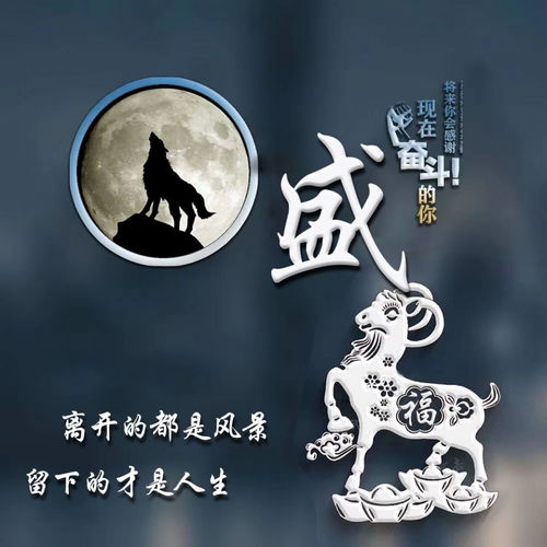  九月新款霸气3d立体姓氏头像,带个性签名,进来领走你的姓氏吧