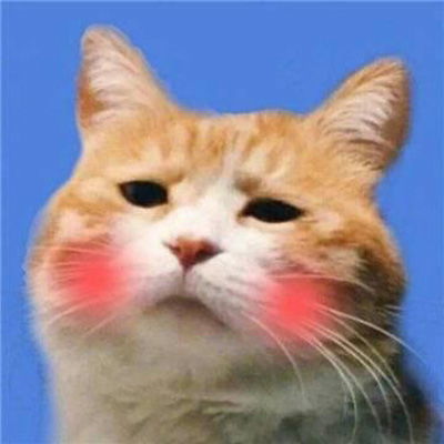  萌宠情侣头像一左一右一对两张情侣头像猫狗可爱卖萌