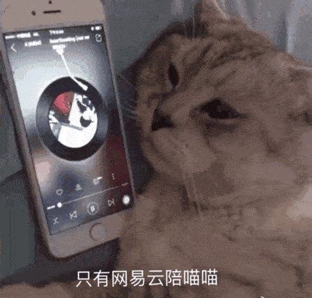 手机头像图片可爱微信网