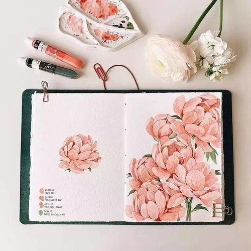  插画师yirangkim笔下的小清新植物手绘,让你的心情得到治愈
