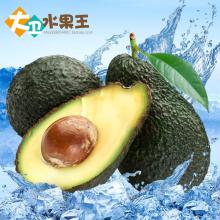  2017牛油果价格行情批发多少钱牛油果图片第5页黄页88水果批发网