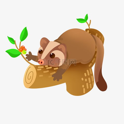  果子狸野生动物素材图片免费下载千库网