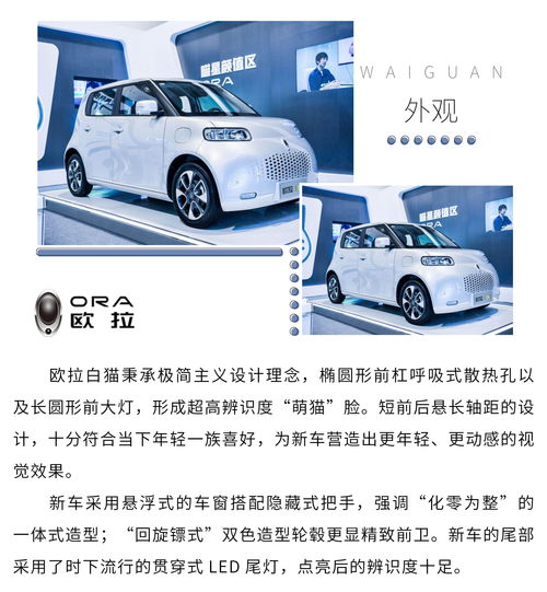  光有大狗怎么行欧拉白猫来袭长城真会玩儿