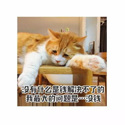  12星座的年轻人都在烦恼什么