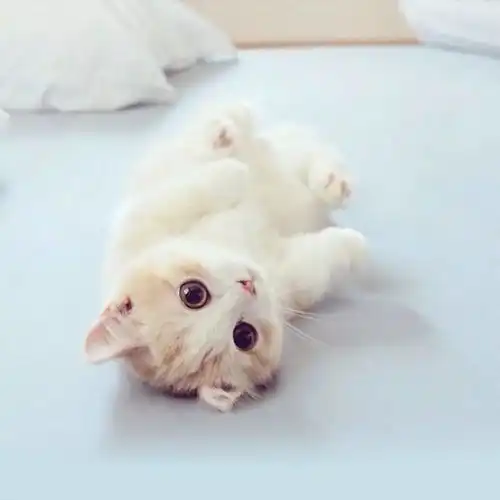 我们常常分开想念又分开 我们常常分开想念又分开