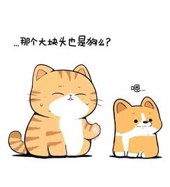  橘猫的世界你不懂就这样抛弃盟友,你的良心不会痛吗