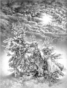  他只用一支铅笔,却画出了苍茫辽阔的雪景