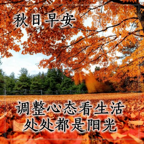  7张最美秋日风景早上好问候图片带字精选秋天唯美早安问候祝福图片带字温馨