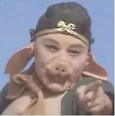  比起啥是佩奇,你更需要了解八戒是啥