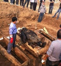  播报30米高雷锋头像亮相故乡揭秘算命大师内幕