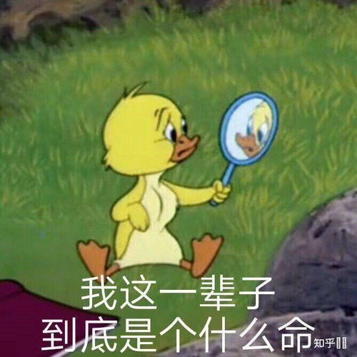  你们第一次去男朋友家做过最尴尬的事情是什么