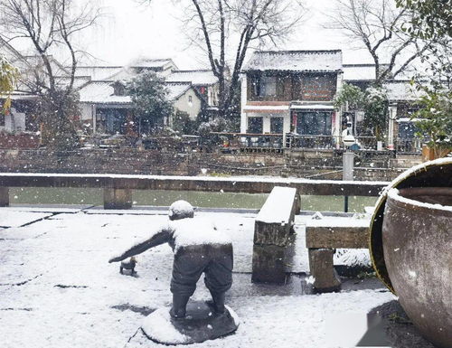  瑞雪迎春运河畔绝美雪景大片上线,每一帧都想收藏