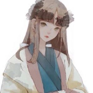  大夏王侯这本书怎么样